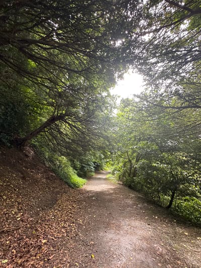 The image depicts a dirt path winding through a densely wooded area, suggesting a forest or park. The path is covered in dirt and fallen leaves. The trees on either side are tall and leafy, with branches that arch over the path, creating a canopy. Sunlight filters through the leaves, casting dappled shadows on the ground. The overall impression is one of a natural, secluded environment. The location is identified as being in Castlecomer, Ireland.