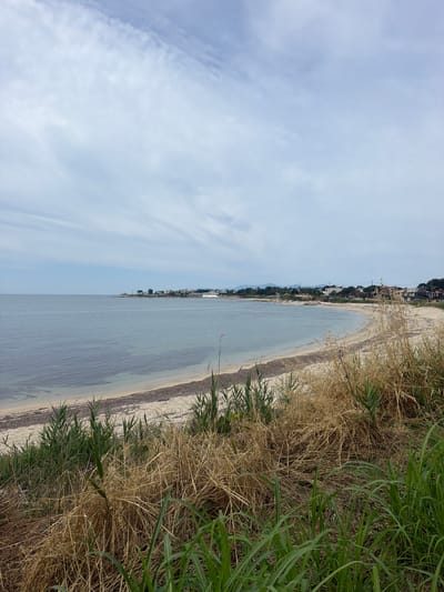 The image depicts a coastal scene in an unknown location in Greece. The foreground is dominated by dry, tall grasses and some green foliage, suggesting a slightly elevated vantage point overlooking the beach. A sandy beach curves gently into the distance, lined with seaweed. The sea is calm and a pale blue-grey, with visible sandy patches beneath the surface near the shore. In the background, a line of white buildings with terracotta roofs, indicative of Greek architecture, are nestled amongst trees along the coastline. Hills are visible in the far distance. The sky is overcast with soft, scattered clouds, creating diffused lighting. There are no people or animals visible in the image.