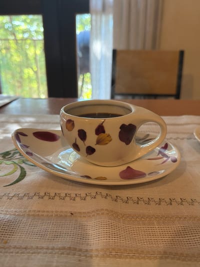 A close-up, eye-level shot shows a white ceramic teacup filled with dark coffee resting on an oval saucer, both adorned with scattered floral-like prints in shades of maroon, purple, and yellow. The cup is positioned slightly off-center to the right of the frame, with its handle extending to the right. The saucer is placed on a table covered with a textured, light-colored tablecloth featuring a woven stripe pattern near the bottom and a decorative stitched border with small, repetitive animal motifs. In the background, a wooden chair with a light brown seat and dark frame is visible. Beyond the chair, a window shows blurred greenery and sunlight, suggesting an outdoor environment. The scene appears to be indoors, likely in a domestic setting, such as a dining room or kitchen, in Asuncion, Paraguay. There are no people visible in the image.