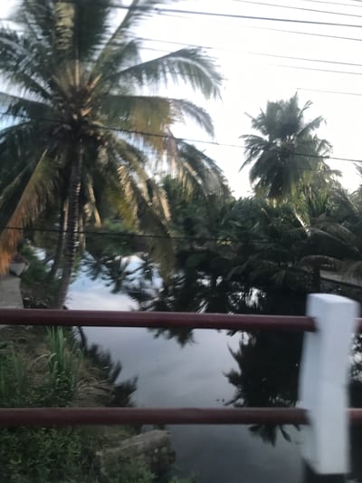 The image, oriented horizontally, depicts a tranquil, verdant scene likely set in Aluegunto, Indonesia. In the immediate foreground, a fence or railing composed of reddish-brown vertical bars and a white horizontal top beam partially obscures the view.
Beyond the fence lies a calm, dark body of water, possibly a canal or river, which reflects the surrounding trees and sky. On the far bank and extending into the background, numerous lush green palm trees, consistent with coconut palms, dominate the landscape. Their dense fronds create a vibrant canopy, with some trees showing clusters of fruit. The foliage is rich and appears healthy.
Above the treeline, a bright, diffuse sky suggests it is daytime, possibly late morning or early afternoon, with soft, indirect lighting. Thin, vertical lines, appearing to be utility wires, are visible against the bright sky in the upper left. The overall atmosphere is peaceful and natural. No human activity, individuals, or discernible text are present in the image.