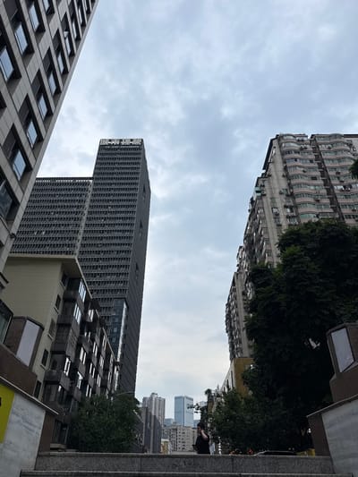 The image depicts a street view in the Jinjiang District of Chengdu, China, with a variety of architectural styles and varying heights. Several tall buildings dominate the skyline, with one particularly imposing skyscraper featuring a repetitive grid pattern of windows. Adjacent to the skyscraper, there is a building with a modern design with reflective windows. On the left and top of the image, there is an older building with rounded balconies and numerous air conditioning units is also visible. A dense tree canopy obscures some of the structures. The sky is overcast, which produces soft, diffused lighting across the scene. In the distance, other buildings blend into a dense urban landscape. In the upper right of the image, there are two people.