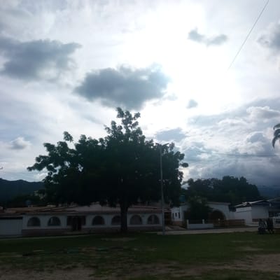 The image shows a street scene in El Limón, Venezuela, under a cloudy sky. In the foreground, a well-maintained lawn with some bare patches of earth leads to a low-lying building with a white facade and a tiled roof. The building features a series of arched windows with decorative metal bars and a patterned tile band along its lower half. To the left of the building, a large, dark green tree with dense foliage dominates the center of the frame. A lamppost stands to the right of the tree, near the building. In the middle ground, another building, also white with a tiled roof, is visible behind the first. Further back, a distant mountain range is silhouetted against the sky. Two figures, appearing to be people, are seated on a bench on the right side of the frame, near a white vehicle. Overhead, power lines crisscross the sky, and a thin wire stretches diagonally from the top left to the upper right. The overall impression is of a quiet, residential area in El Limón.