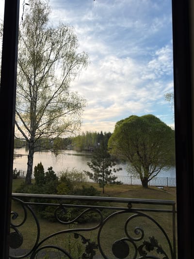 The image depicts a view through a window in Shchelkovo, Russia. The sky is blue with scattered white clouds. A body of water, possibly a lake or wide river, is visible. Trees line the shore, including a large, leafy tree in the foreground and other trees of varying sizes and types. A metal fence runs along the shoreline. A portion of a wrought-iron railing is visible in the foreground on the right side of the frame. The overall scene suggests a peaceful, natural setting, possibly a park or residential area bordering a body of water.