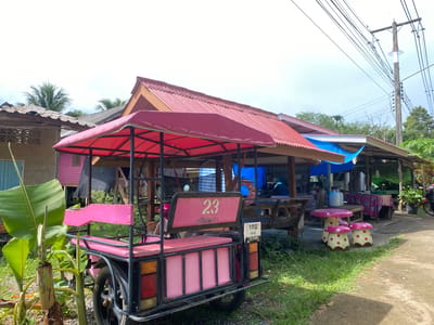 The image depicts a street-side establishment in Ko Siboya, Thailand, under a partly cloudy sky, suggesting it's daytime. The primary focus is a pink, three-wheeled vehicle, possibly a tuk-tuk or a similar form of local transport, parked in front of an open-air dining area. This seating area features wooden tables and benches, some adorned with colorful tablecloths, and is covered by a red and blue tarp-like roof.
Adding a whimsical touch are three mushroom-shaped stools and a matching table, all in bright pink and cream with red polka dots. Behind the seating area, a simple building with a corrugated red roof is visible, and further back, more structures and lush greenery, including banana plants with large leaves, indicate a tropical environment. Electrical wires and a utility pole traverse the top right of the frame, common in many developing areas.
A license plate on the pink vehicle displays Thai script and numbers. A number "23" is painted on the backrest of the vehicle's passenger seat. While no specific activity is clearly underway, the setup suggests a place where people might stop to eat or rest. The overall impression is one of a casual, local roadside eatery in a tropical setting.