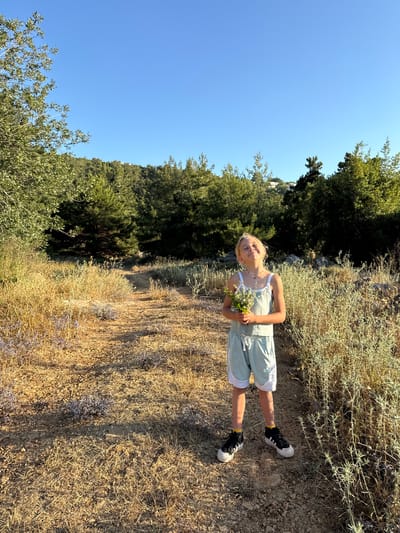 A young blonde girl, wearing a light blue tank top and shorts with white trim, stands in a sunlit, dry grassy area. She holds a small bouquet of white flowers. Her head is tilted back, and she appears to be smiling. She is wearing black and white sneakers and yellow socks. The ground is a mix of dirt and dry grass. In the background, there are trees and a clear blue sky. The scene suggests a natural, outdoor environment, potentially a park or a hiking trail, given the dry vegetation and the path. While the exact location is not visually identifiable as Kfar Vradim, Israel, the setting is consistent with the natural landscapes found in such an area.