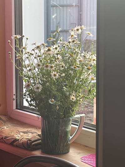 A bouquet of white daisies with yellow centers is displayed in a clear glass vase with a pink handle on a wooden windowsill. The vase is filled with water and the stems of the daisies are visible. The windowsill is covered with a patterned fabric in beige and brown tones. Behind the flowers, a window shows a view of what appears to be an outdoor area with a fence or corrugated metal structure. The lighting suggests it is daytime, possibly late afternoon, with sunlight illuminating the scene from the side. The overall setting seems to be domestic, likely a home in Маминское, Russia. There are no people visible in the image.
