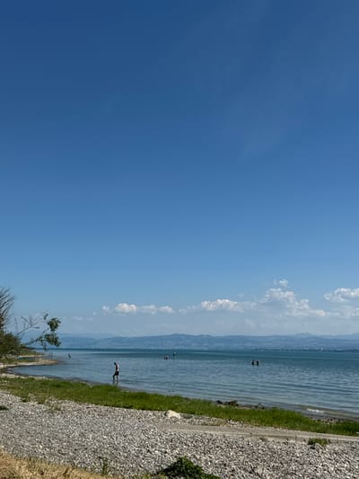The image depicts a scene at a lakefront in Hagnau am Bodensee, Germany. The foreground is dominated by a rocky shore covered in small grey and white pebbles, with dry grass and some green vegetation. A paved path runs along the edge of the rocky area. The middle ground features a grassy shoreline leading to a calm, blue body of water. Several people are visible in the water. One person stands near the shore, appearing to be wading. Further out, two individuals are in the water, and another person is on a paddleboard. The background shows a hazy horizon with a range of distant, blue mountains and a clear, bright blue sky with scattered white clouds. The overall impression is one of a peaceful, sunny day at the lake.