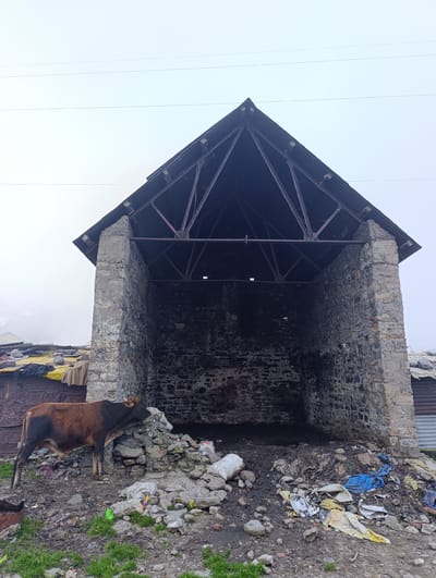 A brown cow stands to the left of a large, open stone structure with a dark, corrugated metal roof supported by a metal frame. The structure is partially open at the front, revealing a dark interior. The ground in front of the structure is littered with rocks, mud, and various types of trash including plastic bags and debris. To the left of the structure, there are some makeshift shelters with yellow and brown tarps. The sky is overcast. The image appears to have been taken in Marhi, India, based on the provided context, a location known for its roadside stalls and eateries catering to tourists traveling to Rohtang Pass.