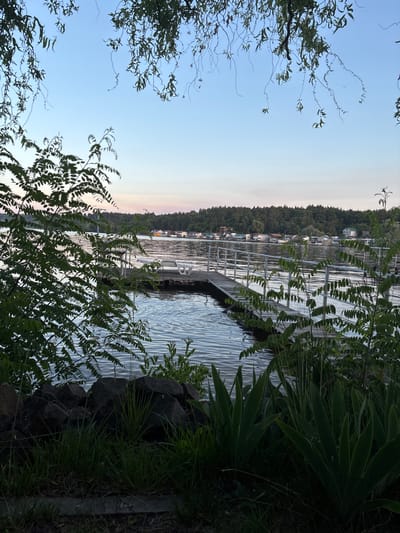 The image depicts a serene waterfront scene, likely at dusk, with a wooden dock extending into calm water. The dock features a white metal railing and two white lounge chairs. The water is rippled, reflecting the soft, pastel colors of the sky, which transitions from a pale blue to a delicate pink and orange hue near the horizon.
On the far side of the water, a dense line of trees forms the backdrop, behind which several houses are visible. These houses appear to be situated along the shoreline. The foreground of the image is dominated by dark green foliage and large, dark rocks. Tall, leafy branches of trees frame the top and sides of the scene, their leaves appearing lush and vibrant.
Given the context of Cherkasy, Ukraine, this location could be a dacha settlement or a recreational area along the Dnieper River or one of the city's lakes. The overall atmosphere is peaceful and natural, suggesting a quiet evening by the water. There are no people visible in the image, and no actions or interactions are taking place. The focus is solely on the landscape and the man-made structures within it.