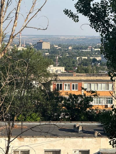 The image shows a view from a high vantage point, looking down at a city with buildings and trees. In the foreground, dead branches of a tree obscure the view. Beyond the branches, a cityscape unfolds, with numerous buildings of varying heights and architectural styles. Some buildings are apartment blocks with many windows, while others appear to be industrial structures. Lush green trees are interspersed throughout the urban landscape, suggesting a somewhat green city. In the distance, a body of water can be seen, possibly a river or a bay. The sky is a pale, hazy blue, indicating a possibly warm or humid day. The overall impression is of a sprawling urban environment partially reclaimed by nature. There are no people visible in the image, and no specific activity or event is taking place. The time of day appears to be daytime, given the lighting.