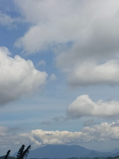 The scene is an outdoor panoramic view located in the city of Ngọc Tụ, Vietnam. The sky occupies the majority of the frame, displaying patches of light blue intermingled with numerous cumulus clouds that range in color from bright white to light grey. A distant, undulating mountain range forms the horizon line, appearing as a dark blue-grey silhouette due to atmospheric haze. In the lower-left corner of the foreground, several dark, elongated, and pointed objects, resembling large plant fronds, are partially visible, entering the frame from the bottom edge. No individuals, animals, specific man-made structures, or human activities are discernible within the image.