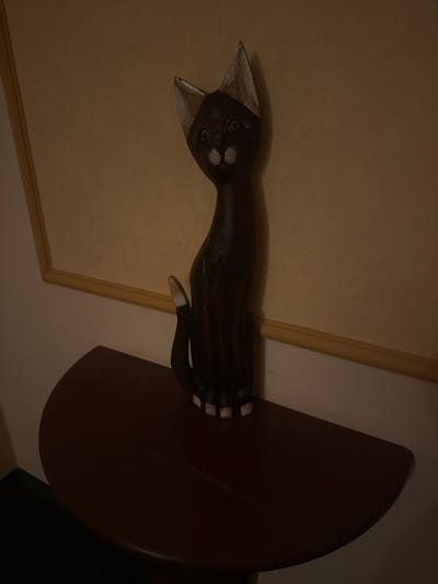 The image shows a dark brown, carved wooden cat figurine resting on a curved, dark brown surface, possibly a table. The figurine is positioned horizontally, with its head to the left and its body extending to the right. The cat has a narrow head with pointed ears, large, circular eyes with smaller circles inside, and a striped pattern on its snout. Its body is slender, and its legs are visible, with carved toes. The tip of its tail is white.

Behind the figurine, the background consists of a textured wall with a faint, swirling pattern, suggesting wallpaper. To the right, a darker area is visible, potentially a shadow or another object in the room. The lighting is dim, casting shadows and creating a moody atmosphere. The overall scene appears to be indoors, in a dimly lit room. There is no visible text in the image. The location context of Karlovy Vary, Czechia, does not provide specific visual cues within the image itself.