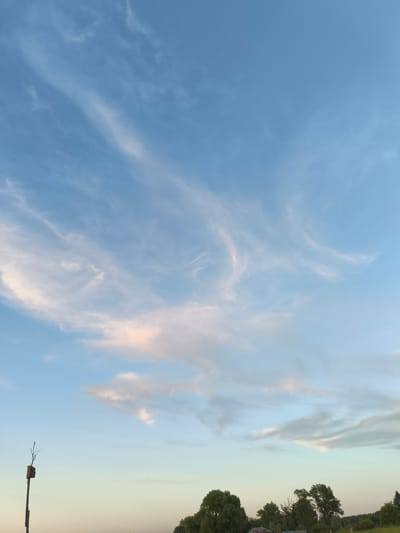 A wide-angle, eye-level shot captures a serene, pastoral landscape under a pale blue sky. Wispy cirrus clouds, tinged with hints of pink and orange, are scattered across the upper half of the frame, suggesting either sunrise or sunset. The horizon is lined with a dense growth of lush green trees, their silhouettes softened by the diffused light. In the foreground, to the left, a solitary wooden birdhouse on a pole stands stark against the sky, a single bare branch extending from its top. The lower part of the frame shows a sliver of a muted green field and a very small, indistinct building nestled among the trees. The overall impression is one of tranquil rural beauty in or around the village of Ilmino, Russia, with no human presence evident.