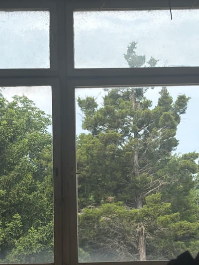 The image shows a view through a multi-paned window. The window is dirty and the view is partially obscured. Through the top right pane, a tall, green tree is visible against a light blue sky. The bottom right pane shows the top of a shorter, denser green tree. The left panes show a cloudy or overcast sky. The location of the scene is not identifiable as Dolna Mitropolia, Bulgaria from visual information provided.