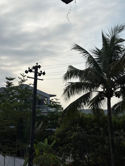 The image depicts a partially cloudy sky above a street scene in Marra, India. In the foreground is a utility pole with attached wires and insulators, silhouetted against the sky. A mature palm tree with coconuts is positioned behind the utility pole, partially obscuring a multi-story building with a geometric roofline. Dense vegetation, including trees and banana plants, fills the middle ground to the right of the utility pole. The scene suggests an urban residential area with tropical vegetation. No people are visible.