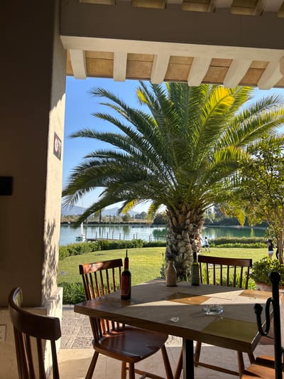 A view from a patio shows a lush palm tree stretching towards a serene lake, dotted with sailboats. A wooden table with chairs stands on the patio, adorned with a bottle of wine and an ashtray. The scene is framed by a stone structure.