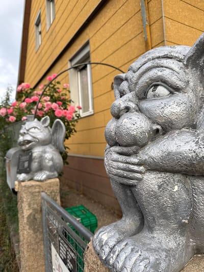 In Bietigheim-Bissingen, Germany, on a cloudy day, two silver gargoyle statues are positioned outdoors. The gargoyle in the foreground is larger and closer to the camera, its face filling the right side of the frame. It has a wrinkled forehead, prominent eyes with visible pupils, a large nose, and its hands are held up to its mouth. The gargoyle is seated on a stone pedestal.

Behind the foreground gargoyle, a smaller, similar gargoyle is visible to the left, also seated on a pedestal. This gargoyle has wings and is looking to its left. A metal mailbox is positioned behind and to the left of this gargoyle.

A cluster of vibrant pink roses is growing behind the second gargoyle, arching over it from a black metal support. The background features a yellow building with horizontal siding and windows. To the right of the second gargoyle, a green plastic crate is visible. A metal fence with a gate is in the lower portion of the image, with a sign attached to the fence. The ground is covered in dirt and some green foliage.