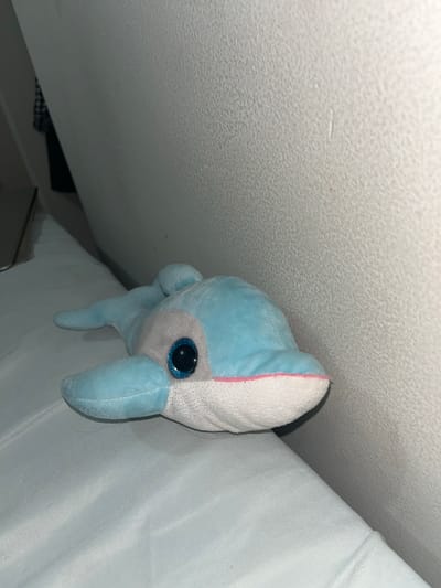 A blue stuffed dolphin toy is lying on a light blue textured surface. The dolphin has large, glittery blue eyes and a light gray face. The dolphin's mouth area is white with a pink trim. The background is a textured off-white wall. There is no discernible location within the city of San Luis, Peru.