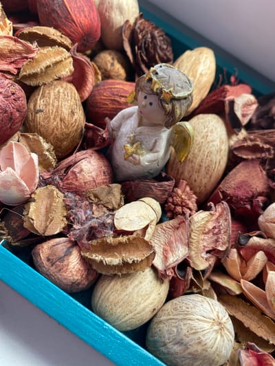 The image shows a close-up, high-angle shot of a teal-colored box filled with potpourri. The potpourri consists of various dried botanical elements in shades of red, brown, beige, and pink. Among the dried elements is a small, ceramic figurine of an angel. The angel is white with a gold halo and wings, and it is holding a golden star. The angel's head is slightly tilted, and its eyes are depicted as black dots. The potpourri appears to be arranged loosely in the box, with some elements spilling over the edge. The lighting is natural, casting shadows and highlighting the textures of the dried materials and the figurine. The background is a light gray surface, suggesting the box is placed on a table or shelf. There is no discernible information about the location being Osek, Czechia.