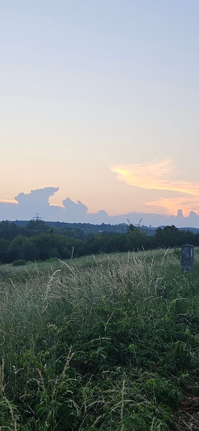 The image depicts a rural landscape at dusk, likely in the vicinity of Hévíz, Hungary, given the contextual information. The sky transitions from a pale blue at the top to hues of pink and orange near the horizon, indicating sunset. Scattered clouds are present, with some particularly interesting formations in the mid-sky.
In the foreground, tall, dry grasses and green foliage dominate the scene, suggesting a meadow or field. The grasses are swaying, implying a gentle breeze. To the right, a stone structure, possibly a marker or part of an old fence, stands vertically.
In the middle ground, a dense line of dark green trees forms a natural boundary. Beyond the trees, the terrain slopes upwards, with more trees and hints of human structures, including what appears to be a large metal pylon or transmission tower and other buildings in the distance. The overall atmosphere is peaceful and serene, characteristic of a countryside view. There are no people or animals visible in the frame. The lighting suggests it is late afternoon or early evening.