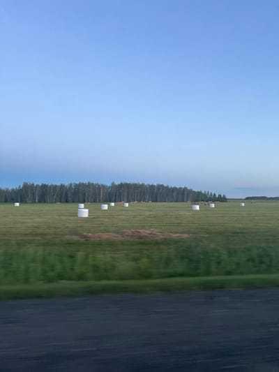 The image depicts a rural landscape in ZImino, Russia, captured from a moving vehicle. The scene is dominated by a vast, green field with several large, white, cylindrical hay bales scattered across it, suggesting agricultural activity. A dense line of trees, likely a forest, runs along the middle ground of the field, creating a natural boundary. Beyond the trees, a hazy horizon with what appears to be a body of water or a distant landscape can be seen under a clear, pale blue sky. To the right of the frame, a dark, textured surface, presumably a road or pathway, is visible, further reinforcing the impression of travel.
The lighting suggests it is either early morning or late afternoon due to the soft, diffused light and the overall muted colors. The weather appears calm and clear, with no indication of rain or strong winds. The presence of hay bales implies that the harvest season has recently passed or is ongoing. The combination of the open field, forest, and road points to a remote, countryside setting. There is no visible text in the image. The overall mood is serene and peaceful, characteristic of a quiet rural environment.