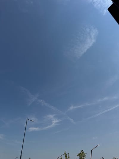A low-angle shot captures a clear blue sky over Mejaniga, Italy, with sparse, wispy clouds. In the foreground, silhouetted against the sky, are the tops of trees and several modern streetlights. One prominent streetlight stands tall on the left, while others are visible on the right. Faint contrails are visible in the sky, suggesting recent aircraft activity. The overall scene depicts an outdoor urban environment on a bright, sunny day.