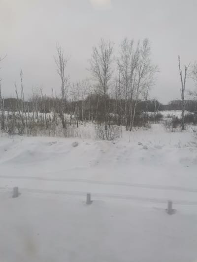 A stark winter landscape under a grey sky. Snow-covered ground rises in drifts. Bare trees and shrubs punctuate the horizon, forming a sparse forest. Some thin tree trunks stand alone. In the foreground, indistinct white structures are visible, likely buried in the snow. The overall atmosphere is cold and desolate.