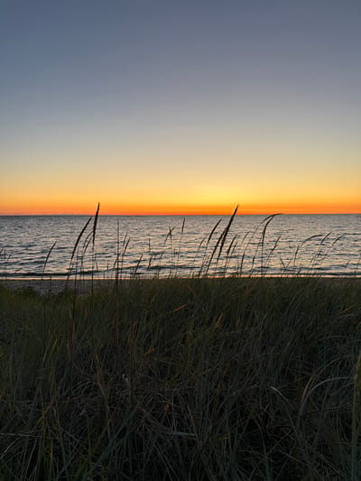 In Meremõisa, Estonia, a photograph captures a serene coastal scene at sunset. The sky transitions from a soft gradient of light blue at the top to a vibrant orange band just above the horizon, where the sun has set. A calm sea stretches across the mid-ground, its surface rippled by gentle waves. In the foreground, tall, thin blades of grass stand silhouetted against the colorful sky and sea, creating a natural frame. The beach itself is visible as a narrow strip between the grass and the water, appearing sandy. The overall impression is one of natural tranquility and the fading light of day.