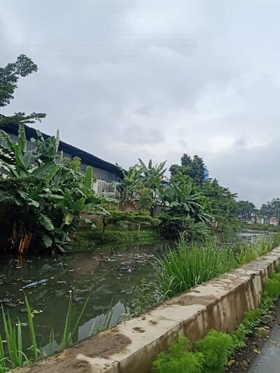 A waterway choked with trash reflects the overcast sky. Lush vegetation, including banana trees and tall grasses, lines the banks. A concrete retaining wall borders the near side. A building sits in the background, partially obscured by foliage. Overall, the scene suggests environmental neglect juxtaposed against the vibrancy of the natural world.