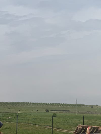 The image shows a hazy landscape in Sklave, Bulgaria. The left side is dominated by a gray sky, possibly overcast. To the right, a green field stretches into the distance, marked by a straight line of trees separating it from the sky. Wooden posts are visible in the foreground on the right, partially obscured by grass. A wooden pallet with red-painted tools is also partially visible on the right edge. In the field, there appear to be some cows grazing and utility poles or light posts are also seen in the background. The photograph is taken from an angle, causing the perspective to appear distorted.