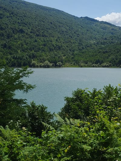 The image depicts a serene natural landscape. A calm, blue lake occupies the midground, its surface slightly rippled and reflecting the bright sky. The lake is framed by lush green foliage in the foreground and a densely forested mountain that slopes upward to fill the background. The mountain is covered in a thick canopy of trees, suggesting a natural, undeveloped area. The sky above is a clear blue with a few wispy white clouds on the right side. The overall impression is one of tranquility and natural beauty. While the prompt mentions Gagulechi, Georgia, there are no specific landmarks or details in the image that definitively place it in that city; it is a general representation of a lakeside mountain environment. There are no people, animals, or specific man-made objects visible in the scene.