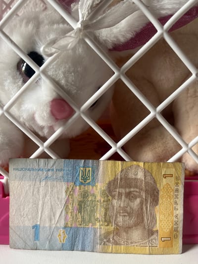 The image shows a close-up of a Ukrainian 1 Hryvnia banknote placed in front of a white plastic cage. Behind the cage, a plush toy bunny is visible, with its head peeking through the bars. The bunny is white with a pink nose. The banknote is crumpled and features an image of Prince Volodymyr the Great on one side. The background consists of the pink interior of the cage and a white surface on which the banknote and cage are resting. There is no information in the image to suggest a location in Schwäbisch Hall, Germany.