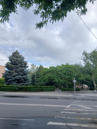 This image presents a serene outdoor scene, likely a park or a tree-lined street, under a partly cloudy sky. The sky, which occupies the upper half of the frame, displays a mix of soft grey and white clouds interspersed with areas of blue. Thin power lines are visible stretching across the upper left portion.

The left side of the image is dominated by lush green foliage from trees, providing a natural frame. A dense line of various trees, including both deciduous and a prominent blue-green coniferous tree, and neatly trimmed green hedges, extends horizontally across the mid-ground.

On the right side, an asphalt road runs parallel to the green space. The road features white markings, including a clear crosswalk (zebra crossing) and what appear to be lane dividers. The road surface shows signs of age and wear, with visible cracks. Long shadows stretch across the asphalt, suggesting either early morning or late afternoon sunlight. Adjacent to the road, a white pole with a square fixture on top stands, possibly a street light or signpost.

In the background, behind the trees, a light-colored structure with multiple tent-like awnings or covers is visible, possibly an outdoor cafe or event setup. A building with a reddish-brown roof can be faintly seen behind the large coniferous tree. The scene is devoid of people or specific activities, creating a calm and observational mood. The setting appears to be a pleasant urban or suburban environment, consistent with locations like Vagharshapat, Armenia.