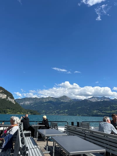 This is an eye-level, medium shot of people on a ferry in the city of Lake Thun, Switzerland, enjoying the scenery. The sky is a vibrant blue with scattered white clouds. The ferry is equipped with metal benches and tables, and several people are seated, some facing the mountains and lake, others engaged in conversation.

In the foreground, a woman with gray hair and glasses is seated on the left, looking out at the water. To her right, a man in a black hoodie is taking a photo with his phone. Further down, a woman with blonde hair is seated at a table with a glass of white wine. In the background, two men are seated at a table, one in a patterned blue shirt, appearing to converse.

The ferry is on a body of water, likely Lake Thun, given the mountainous landscape in the background. The mountains are covered in lush green trees, with some rocky outcrops and snow-capped peaks visible in the distance. The water is a clear blue-green. The overall scene depicts a peaceful day on the lake.