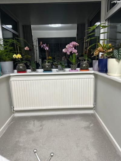 The image displays an indoor scene within a room located in Lancaster, United Kingdom. A wide window sill is lined with ten potted plants. From left to right, these include: a green fern-like plant in a grey pot, a yellow orchid in a clear glass bowl with a red saucer, a small green plant in a clear glass pot, a purple orchid in a clear glass bowl with a blue saucer, a small green plant in a grey pot with a white saucer, a pink orchid in a clear pot with a pink saucer, a brown-hued orchid in a clear glass pot with an orange saucer, a tall green plant in a light purple pot, a Croton plant with variegated foliage in a dark blue pot, and a patterned-leaf plant in a cream-colored pot. Multiple orchids are stabilized by slender support stakes. Below the window sill, a white, horizontally ribbed central heating radiator is installed against the wall. The surrounding walls are light grey, accented by white baseboards, and the floor is covered with light grey carpet. The window glass exhibits reflections of the interior space, notably a rectangular ceiling light fixture. No persons are visible within the frame.