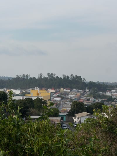 The image shows a partial view of Santa Rosa de Copán, Honduras, from an elevated position, possibly a hillside. In the foreground, dense foliage, including trees and leafy bushes, partially obscures the view. The middle ground features a built-up urban area with houses, buildings, and infrastructure. The buildings are diverse in color and size, with a prominent yellow building visible. The background is dominated by a gray, overcast sky. The orientation of the image is vertical. The foliage appears abundant, suggesting a relatively wet or humid environment. The urban layout of Santa Rosa de Copán consists of closely packed structures, and the residential and commercial buildings are situated among the green trees.