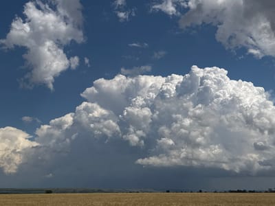 This is a wide-angle, landscape photograph of a dramatic sky over a rural, dry field. The dominant subject is the sky, filled with a large, towering cumulus cloud formation that appears to be developing into a thunderstorm. The cloud is white and puffy in its upper portions, catching the sunlight, but transitions to a dark, ominous gray towards its base, suggesting heavy rain or precipitation. Scattered smaller white clouds are also visible in the bright blue sky.
The foreground consists of a vast, dry field, likely a grain field given its golden-brown color and texture, stretching to the horizon. The field appears parched, indicating a dry season or drought. A faint line of trees and undulating hills can be seen in the far distance along the horizon. There are no people or distinct objects in the foreground or midground, emphasizing the natural elements.
The scene conveys a sense of awe and anticipation due to the dramatic cloud formation. The bright blue sky contrasting with the dark storm clouds suggests a dynamic weather system. The time of day appears to be mid-afternoon, given the bright sunlight illuminating the upper parts of the clouds and the overall brightness of the scene. The location context of Svetlograd, Russia, implies a steppe or prairie-like landscape. There is no visible text in the image.