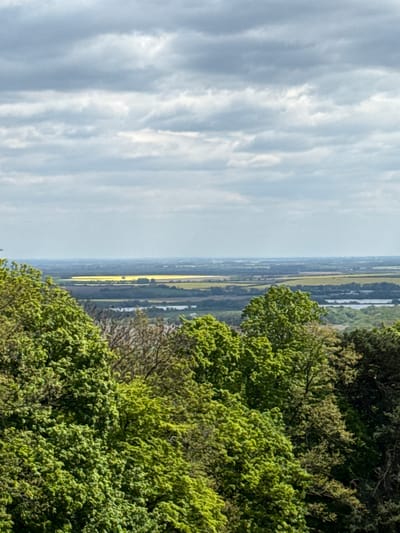 The image presents a panoramic landscape view, appearing to be captured from an elevated position looking out over a wide valley. The original image is rotated 90 degrees clockwise; when viewed upright, the scene unfolds horizontally.
In the foreground, the frame is filled with the dense, vibrant green foliage of trees and bushes, suggesting a vantage point from a wooded area, possibly a hilltop or ridge. The leaves appear fresh and lush, indicative of spring or early summer.
Beyond the immediate treeline, the middle ground and distant horizon reveal a vast rural landscape. This expanse is characterized by various agricultural fields and patches of land, stretching far into the distance. A particularly striking feature is a prominent, elongated field of bright yellow, likely rapeseed, which stands out against the more subdued greens and browns of the surrounding terrain. Scattered across the valley floor are several narrow bodies of water, possibly rivers or canals, reflecting the light. The distant landscape is somewhat softened by atmospheric haze.
The sky occupies the upper portion of the frame, showcasing a mix of pale blue and extensive, streaky white and light grey clouds. The clouds appear thin and wispy in places, allowing diffused sunlight to illuminate the scene.
The image depicts a peaceful daytime scene, likely in the late morning or early afternoon, given the soft, bright lighting. The weather appears partly cloudy. There are no people, explicit objects, or discernible activities taking place, besides the implied observation of the landscape. No visible text is present. The setting aligns with the geographical context of Častá, Slovakia, a region known for its natural landscapes and valleys.