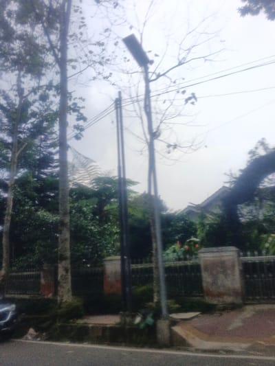The scene depicts a street view in Morrumbala, Mozambique, under an overcast sky. A dark asphalt road spans the lower portion of the image, bordered on its right by a reddish-brown paved sidewalk. Three utility poles, two dark and one lighter-colored, stand vertically in the midground, supporting multiple overhead power lines. A rectangular, dark street light fixture is mounted atop the lighter-colored pole on the right. Directly behind the poles and sidewalk, a fence composed of light-colored concrete pillars and dark metal railings encloses a property. This property features dense green foliage, including several tall trees with light bark, and a prominent large fern-like plant with a distinct pattern. The upper section of a residential structure with a light-colored gable roof is visible through the dense vegetation in the upper-right quadrant. A dark vehicle, partially visible on the road in the lower-left corner, shows a portion of its front bumper and headlight. Small red flowering plants are discernible amidst the greenery behind the fence. No individuals are present, and no specific actions or interactions are occurring.