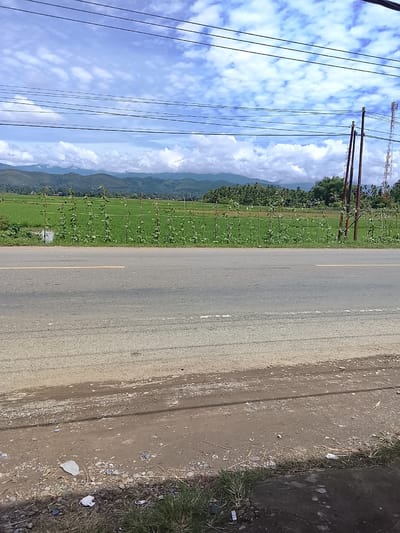 The image depicts a roadside scene with a vast green rice paddy field in the background, bordered by a line of vegetation supported by stakes and wires. In the distance, lush green hills and mountains are visible under a cloudy blue sky with scattered white clouds. A cellular tower can be seen on the right side of the frame. In the foreground, a paved road with a yellow line marking runs horizontally across the image. The shoulder of the road transitions into a dirt path with scattered debris, including small pieces of plastic and dry vegetation, leading to a patch of green grass on the far right. The overall scene suggests a rural or semi-rural environment in Manyang Cut, Indonesia. There are no people or animals present in the image.