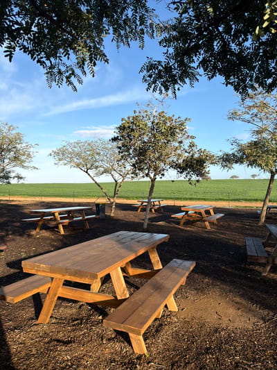 Several wooden picnic tables sit on dark soil under the partial shade of scattered trees. Beyond them, a green field stretches towards the horizon under a blue sky with light clouds. The scene is slightly tilted, with trees framing the left side of the view and the field visible in the distance.
