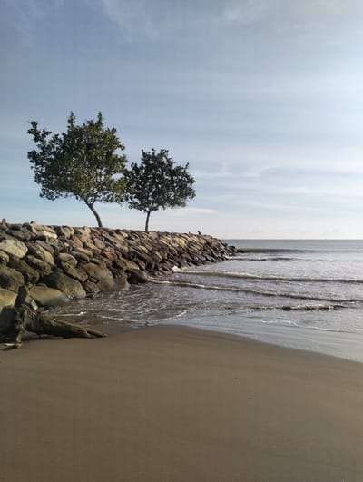 The image depicts a scene at the beach in Blanglancang, Indonesia. Two trees stand on a rocky breakwater that extends into the ocean. The sky is clear with a few wispy clouds. The ocean has gentle waves rolling onto the sandy shore. In the foreground, a piece of driftwood rests on the beach, partially submerged by the incoming tide. A person is visible sitting on the breakwater in the middle ground.