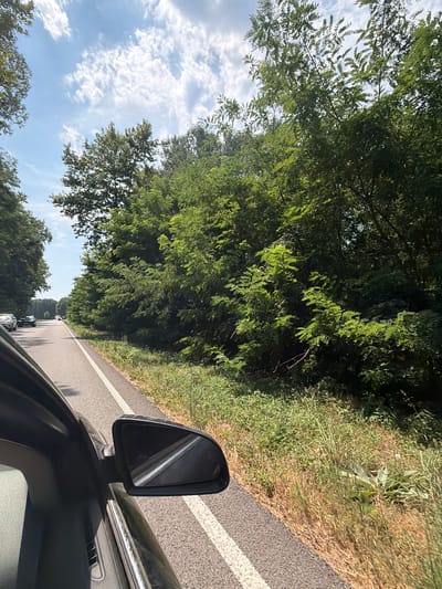 The image depicts a view from the passenger side of a vehicle traveling on a two-lane asphalt road lined with dense green foliage and trees. The road has a white dashed line marking the lane. In the foreground, a black car mirror is visible, reflecting the sky and the road. The sky is blue with scattered white clouds. On the right side of the road, a variety of green plants and dry grass grow along the roadside. In the distance, several cars are visible on the road. The scene suggests a journey through a rural or semi-rural area.
