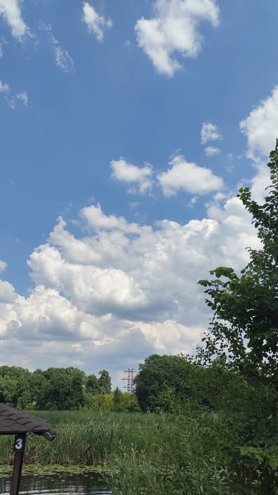 The image depicts a landscape scene with a body of water in the foreground, a dense line of reeds and trees in the mid-ground, and a blue sky with cumulus clouds in the background. On the left side of the foreground, a portion of a wooden gazebo with a dark roof is visible, and a dark post with a white number "3" on it. The water has some lily pads on its surface. The mid-ground features a variety of green foliage, including tall reeds and mature trees. In the distance, a transmission tower is visible rising above the treeline. The overall impression is of a natural outdoor setting, possibly a park or a natural reserve.