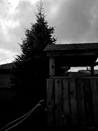 The image is a black and white photograph depicting an outdoor scene in Donchevo, Bulgaria. The upper portion is dominated by an overcast, cloudy sky. A large, dark conifer tree, likely a spruce or fir, stands prominently on the left side, silhouetted against the sky. In the foreground, on the right, is a section of a wooden structure constructed from vertical planks and horizontal timbers, topped with a dark, shingled roof. Part of a dark, curved slide is visible in the lower-left corner, positioned in front of or next to the wooden structure. In the mid-ground, behind the wooden structure, portions of other buildings with tiled or shingled roofs are discernible, one featuring a visible chimney stack. No individuals, actions, or specific interactions are present in the scene.