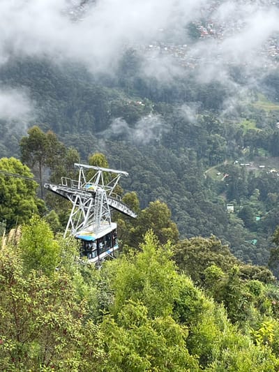 The image depicts an aerial view of the mountainous terrain surrounding Bogota, Capital District, Colombia, specifically on Monserrate. In the midground, a blue and white cable car gondola, containing multiple indistinct human figures, is observed suspended from overhead cables. The gondola is positioned near or connected to a large, grey metallic pylon structure, part of the cable car system. The immediate foreground is dominated by dense, vibrant green foliage consisting of various trees and bushes. The midground and background consist of steep, heavily forested slopes. In the upper background, the urban periphery of Bogota is visible, characterized by numerous residential structures with multi-colored roofs, partially obscured by pervasive low-lying clouds and mist. The overall environment appears humid and verdant under overcast sky conditions. No direct interactions between individuals are discernible.