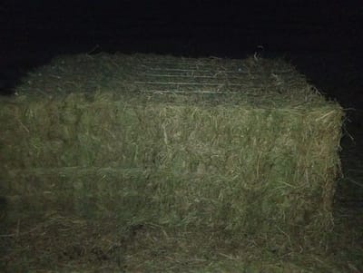 The image shows a rectangular bale of hay in the city of Mykhnivtsi, Ukraine, outdoors at night. The hay bale is large and appears to be tightly packed. There are thin, white horizontal lines visible across the top of the bale, possibly indicating netting or twine used to secure it. The surrounding environment is dark, with only the hay bale illuminated, suggesting the use of artificial lighting that is not visible in the frame. The ground around the bale is covered in grass and loose hay.