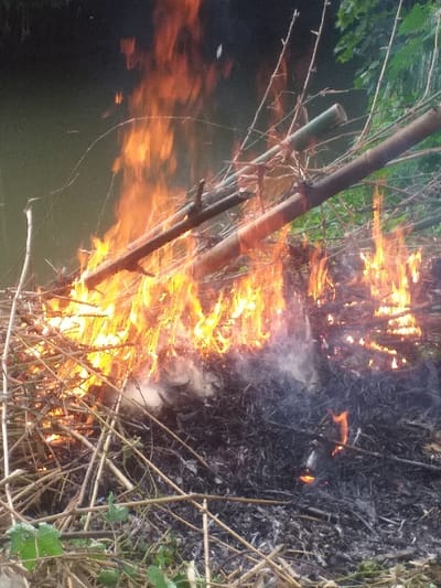 A fire blazes among dry vegetation and bamboo stalks. Flames engulf the lower portions of the bamboo, casting an orange glow. The ground is charred and smoking in areas. Patches of green vegetation border the burning area. Water reflects the fire's light.