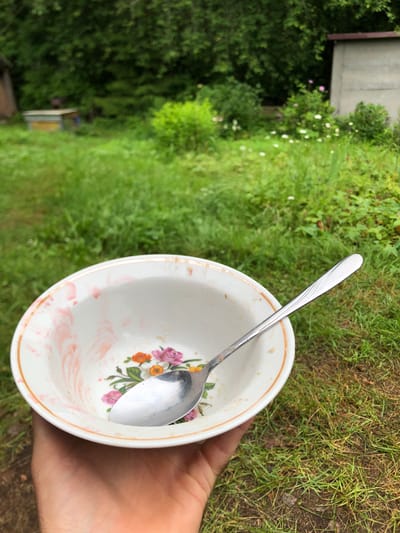 A person's hand is holding a white ceramic bowl with a floral pattern of pink and orange flowers. A silver spoon rests inside the bowl. The bowl is not clean, with some pink residue visible on the inside rim and some crumbs at the bottom. The background is a grassy yard with trees and bushes, and a small building can be seen in the distance. The scene is outdoors, suggesting a rural or suburban setting. The presence of the bowl and spoon indicates a meal has recently been consumed. The overall impression is that of a casual, everyday moment.