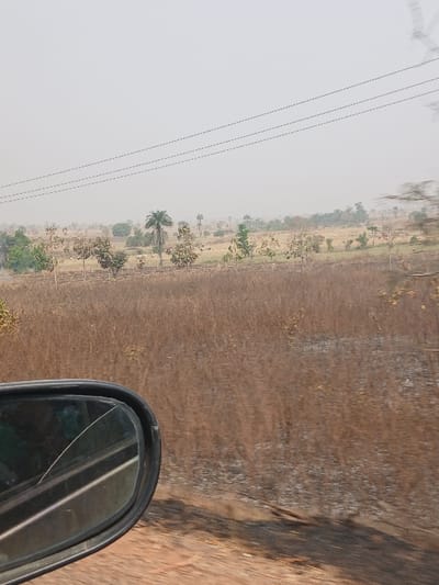 The image displays an expansive, rural landscape in Bokana, Nigeria, captured from the perspective of a vehicle's side. In the lower-left, a black side-view mirror with a distinct diagonal crack across its glass surface is visible, reflecting a portion of the vehicle and the ground below. The immediate foreground consists of reddish-brown dirt or soil, transitioning into a broad field of dry, light brown vegetation, likely tall grasses, which occupies the lower and mid-right sections of the frame. Darker, possibly scorched patches are present within this dry vegetation. Beyond this field, the midground and background reveal a vast, open terrain dotted with numerous scattered trees, including prominent palm trees and various other species, some appearing green and others sparser. The ground in the distant background appears lighter, suggesting open or cleared land. Overhead, several dark, horizontal power or utility lines traverse the upper sky. The sky itself is a uniform, hazy light grey, indicating atmospheric conditions. No people are visible.